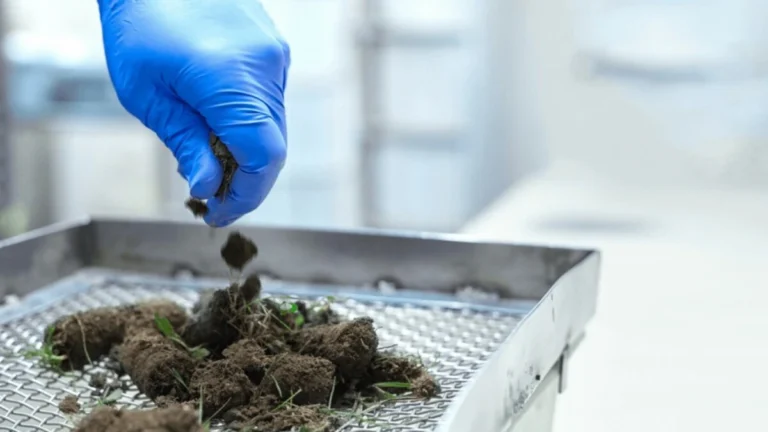 RKVY Soil Testing Scheme